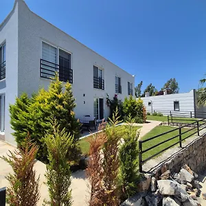 Apartment No 444